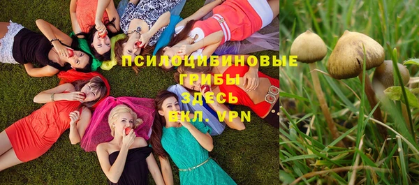 эйфоретик Алзамай