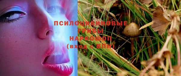 эйфоретик Алзамай