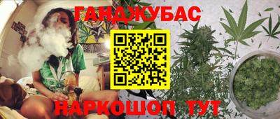 кокс Можга