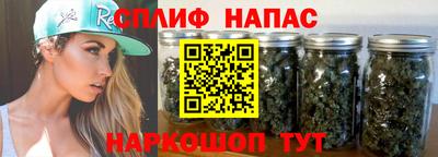 прущие грибы Можайск
