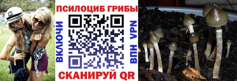 кракен ссылки  Рыбинск  Галлюциногенные грибы мухоморы 