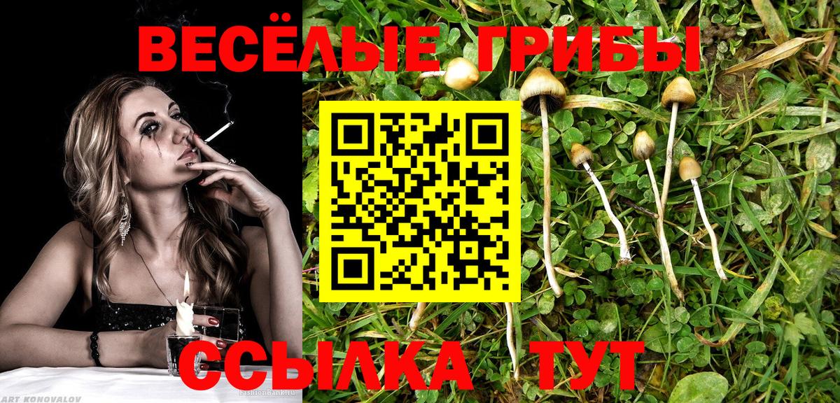 купить наркотик  Вход с VPN  Рыбинск  Галлюциногенные грибы ЛСД  Галлюциногенные грибы Psilocybine cubensis 